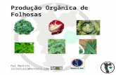 Produção Orgânica de Folhosas Rui Martins ruinatural@hotmail.com.