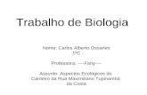 Trabalho de Biologia Nome: Carlos Alberto Ossanes 1ºC Professora: ----Fany---- Assunto: Aspectos Ecológicos do Canteiro da Rua Maximiliano Tupinambá da.