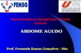 ABDOME AGUDO Prof. Fernando Ramos Gonçalves - Msc Especialização em Emergências e Terapia Intensiva.