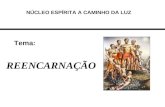 Tema: REENCARNAÇÃO NÚCLEO ESPÍRITA A CAMINHO DA LUZ.
