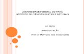 UNIVERSIDADE FEDERAL DO PARÁ INSTITUTO DE CIÊNCIAS EXATAS E NATURAIS 13 0 EPEQ APRESENTAÇÃO Prof. Dr. Marivaldo José Costa Corrêa.