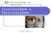 Profª Rosangela Araujo rosangela.araujo@uniso.br Insalubridade e Periculosidade Universidade de Sorocaba.