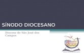 SÍNODO DIOCESANO Diocese de São José dos Campos. 1.Entendendo o contexto... A história pastoral da Diocese de São José dos Campos é marcada pelas Assembléias.