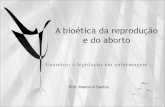 Prof. Marlon A Santos. PRINCIPAIS EIXOS DA REFLEXÃO ÉTICA RELACIONADA À REPRODUÇÃO ASSISTIDA O controle da natalidade A esterilização A fecundação artificial.