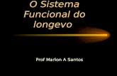 O Sistema Funcional do longevo Prof Marlon A Santos.