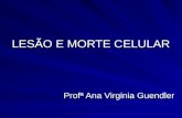 LESÃO E MORTE CELULAR Profª Ana Virginia Guendler.