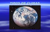 TIPOS DE CLIMAS I - Climas Quentes 1.1. Clima equatorial Temperaturas elevadas e constantes; Temperaturas elevadas e constantes; Amplitudes térmicas.