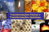 Cincias F­sico â€“ Qu­micas 2008/2009 Transforma§µes F­sicas e Transforma§µes Qu­micas