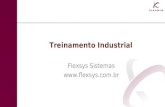 Treinamento Industrial Flexsys Sistemas .