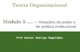 1 Teoria Organizacional Módulo 5 (novo) – Relações de poder e de política institucional Prof Doutor Rodrigo Magalhães.