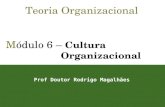 1 Teoria Organizacional Módulo 6 – Cultura Organizacional Prof Doutor Rodrigo Magalhães.