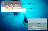 Desportos Radicais A adrenalina em Acção Mergulho Kitesurf Rafting Catarina nº8 Vânia nº23 10º D.