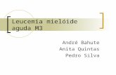 Leucemia mielóide aguda M3 André Bahute Anita Quintas Pedro Silva.