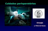 J. Pinto de Sousa Cuidados perioperatórios Cirurgia.