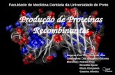 Produção de Proteínas Recombinantes Faculdade de Medicina Dentária da Universidade do Porto Regente:Prof. Dra. Deolinda Lima Orientadora: Dra. Alexandra.