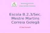 Escola B.2,3/Sec. Mestre Martins Correia Golegã Agrupamento de Escolas de Golegã, Azinhaga e Pombalinho 6º Ano Turma B.