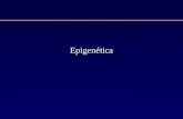 Epigenética. Fenómeno Epigenético Qualquer actividade reguladora de genes que não envolve mudanças na sequência do DNA (código genético) e que pode persistir.