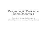 Programação Básica de Computadores 1 Ana Christina Bringuente (Material gentilmente cedido por Rodrigo Calhau)