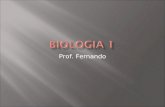 Prof. Fernando. Adaptação – Conceito ligado a ambiente Exemplo clássico: Biston betularia – Mariposas de Manchester.