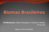 Professores: Aline Gonzales e Gustavo Siebra 3ª Fase EJA Quinta- Feira 01-09-2011.