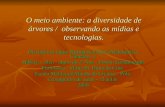 O meio ambiente: a diversidade de árvores / observando as mídias e tecnologias. Disciplina-Língua Portuguesa/Artes (Matemática, Ciências...) Público –
