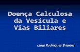 Doença Calculosa da Vesícula e Vias Biliares Luigi Rodrigues Brianez.