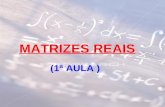 MATRIZES REAIS (1ª AULA ). 1. MATRIZ REAL DE ORDEM (DIMENSÃO) n x m CONSIDEREMOS OS CONJUNTOS: N n = { 1, 2, 3,..., n } e N m = { 1, 2, 3,..., m } DENOMINAMOS.