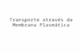 Transporte através da Membrana Plasmática. SINGER NICHOLSON Proteína Lipídeos MODELO MOSAICO FLUÍDO MEMBRANA PLASMÁTICA glicocálix.