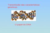 Transmissão das características genéticas O papel do DNA.