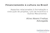 Financiamento à cultura no Brasil Aspectos relacionados à formatação e execução de projetos. Leis de Incentivo e Outros Mecanismos Aline Akemi Freitas.
