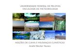 UNIVERSIDADE FEDERAL DE PELOTAS FACULDADE DE METEOROLOGIA NOÇÕES DE CLIMA E MUDANÇAS CLIMÁTICAS André Becker Nunes.