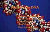 História do DNA Trabalho realizado por: Marília Morgadinho nº14 Rafael Cardoso nº17 Sónia Reis nº20 Tiago Rodrigues nº22.