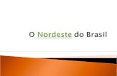 Ocupa 18,26% da área do Brasil Aprox. 45 milhões de pessoas Famosa pelas praias.