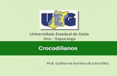 Prof. Guilherme Ferreira de Lima Filho Universidade Estadual de Goiás Unu - Itapuranga Crocodilianos.