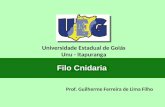 Prof. Guilherme Ferreira de Lima Filho Universidade Estadual de Goiás Unu - Itapuranga Filo Cnidaria.