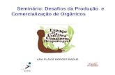 Seminário: Desafios da Produção e Comercialização de Orgânicos ANA FLÁVIA BORGES BADUE.