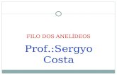 FILO DOS ANELÍDEOS Prof.:Sergyo Costa. Características Gerais: (annellus= anel). Corpo cilíndrico e segmentado (metamerizado). Anéis ou metâmeros; Ambiente.