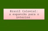 Brasil Colonial: a expansão para o interior.. Primos povoamentos ficaram restritos à zona litorânea. O mar era o meio de comunicação entre Brasil e Europa.