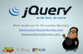 Prof. Anderson M. Fernandes (Burnes) burnes@professorburnes.com .
