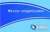 Micro-organismos. Organismos simples Vírus Século XX (ME) Bactérias Final do Século XVI Associação às enfermidades: século XIX Protozoários Vida livre.