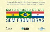 Integração Competitiva de Micro e Pequenas Empresas em Ambiente de Fronteira - Bolívia, Brasil e Paraguai.