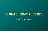 BIOMAS BRASILEIROS Prof. Vanesa. BIOMADefinição: Bioma, ou formação planta - animal, deve ser entendido como a unidade biótica de maior extensão geográfica,