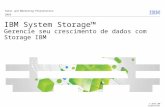 © 2010 IBM Corporation IBM System Storage Gerencie seu crescimento de dados com Storage IBM Sales and Marketing Presentation 2010.