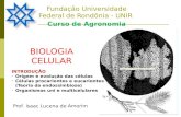 Fundação Universidade Federal de Rondônia - UNIR Curso de Agronomia Prof. Isaac Lucena de Amorim INTRODUÇÃO -Origem e evolução das células -Células procariontes.