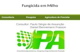 Consultoria Pesquisa Agricultura de Precisão Consultor: Paulo Sérgio de Assunção Daniel Bennemann Frasson Fungicida em Milho.