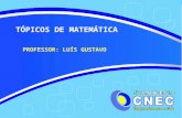 TÓPICOS DE MATEMÁTICA PROFESSOR: LUÍS GUSTAVO. ANÁLISE COMBINATÓRIA: Parte da matemática que trabalha com problemas de contagem. Seu universo de cálculo.