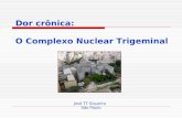 Dor crônica: O Complexo Nuclear Trigeminal José TT Siqueira São Paulo.