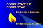 COMBUSTÍVEIS E COMBUSTÃO Em Fornos e Caldeiras Frederico Maia Brandão.