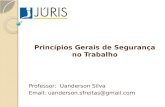 Princípios Gerais de Segurança no Trabalho Professor: Uanderson Silva Email: uanderson.sfreitas@gmail.com.