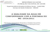Www.funasa.gov.br  twitter.com/funasa MINISTÉRIO DA SAÚDE FUNDAÇÃO NACIONAL DE SAÚDE Superintendência Estadual de Minas.
